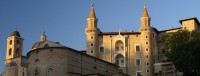 Confcommercio di Pesaro e Urbino - Confcommercio e la promozione di Raffaello Sanzio - Pesaro