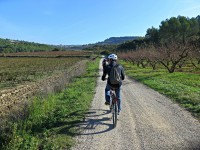 Confcommercio di Pesaro e Urbino - Il turismo ora monta in sella gli hotel diventano per bikers 