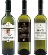 Bruscia Winery - Production of Italian Organic Wine - Bianchelli del Metauro