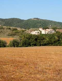 Azienda Agraria Luzi- Specialitą Integrali al Farro Azienda Agraria Luzi- Specialitą Integrali al Farro