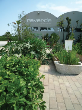Reverde - Regini Garden - Forniture per l`arredo Verde Reverde - Regini Garden - Forniture per l`arredo Verde