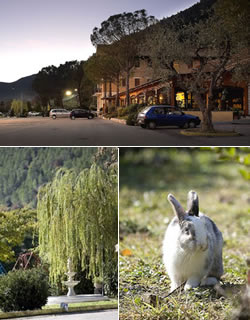 Al Lago - Ristorante Albergo per la tue vacanze al Furlo Al Lago - Ristorante Albergo per la tue vacanze al Furlo
