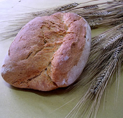 La Casa del Pane - I pregi del pane all`orzo La Casa del Pane - I pregi del pane all`orzo