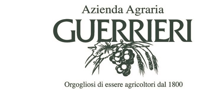 Azienda Agraria Guerrieri - Produzione Vini D.O.C. e I.G.T. delle Marche - Terre Roveresche, Piagge