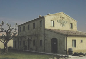 Azienda Agraria Guerrieri - Vini D.O.C. e I.G.T. delle Marche Azienda Agraria Guerrieri - Vini D.O.C. e I.G.T. delle Marche
