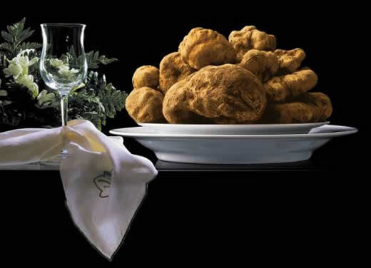 Marini & Azzolini - Tartufi - Acqualagna Marini & Azzolini - Tartufi - Acqualagna