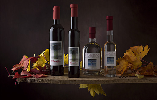 Azienda Agricola Casella Muzighin - Vino di Visciole Il Serafino Azienda Agricola Casella Muzighin - Vino di Visciole Il Serafino