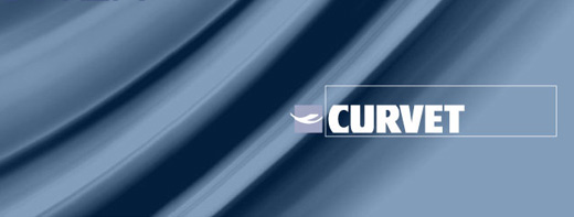 CURVET - Vetro curvo per ogni esigenza CURVET - Vetro curvo per ogni esigenza