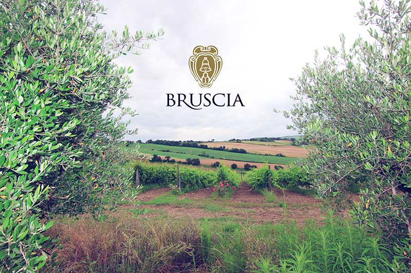 Azienda Agricola Bruscia - Produzione Vino da Uve Biologiche Azienda Agricola Bruscia - Produzione Vino da Uve Biologiche